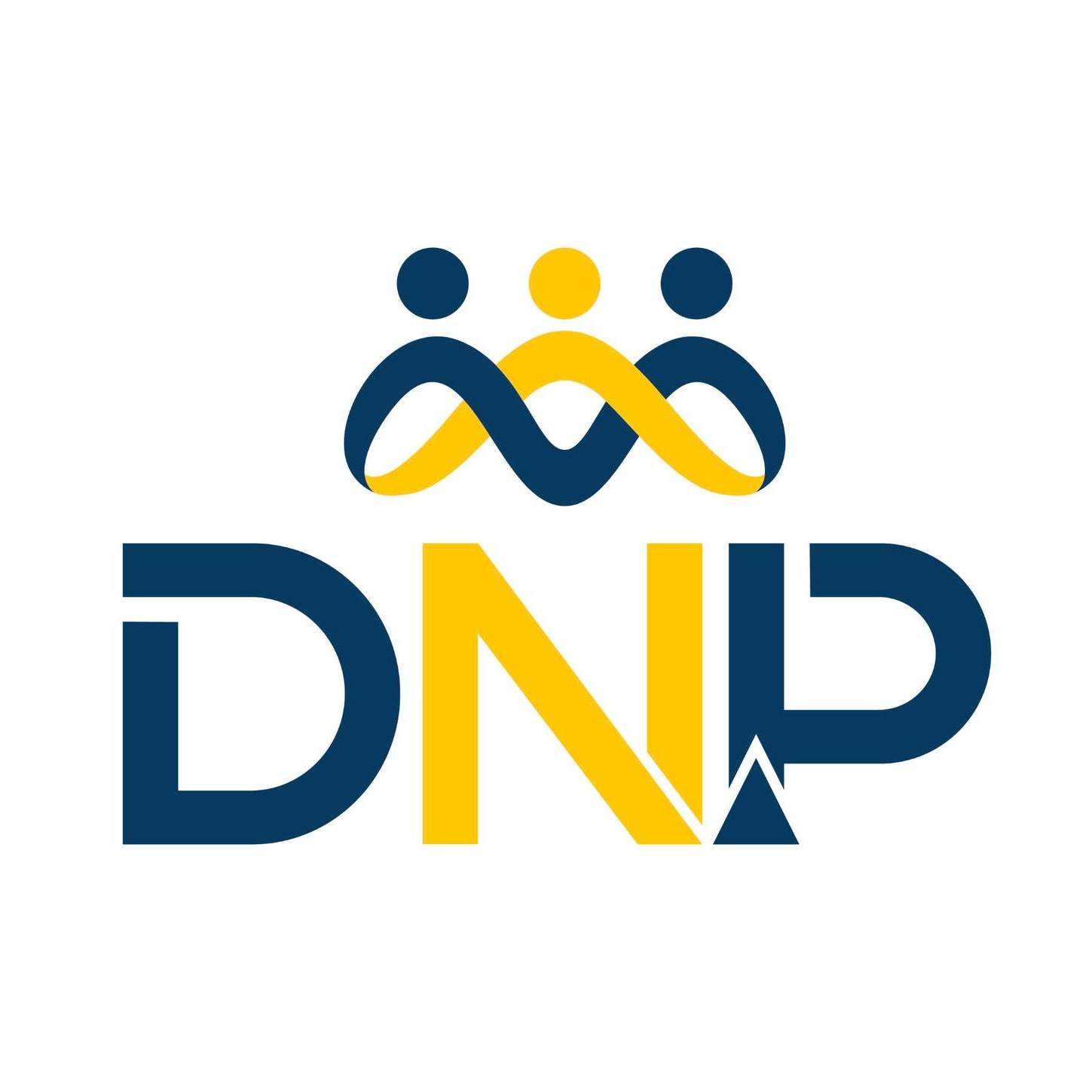 DNP Viet Nam Law Firm logo