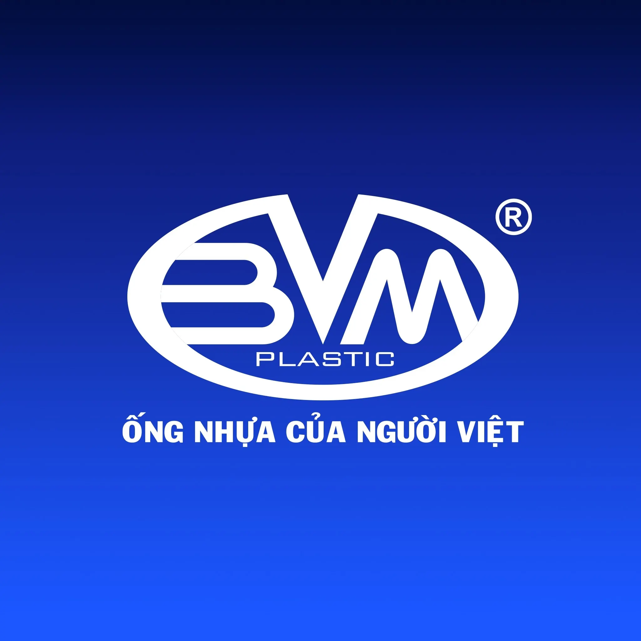 CÔNG TY CỔ PHẦN NHỰA BÌNH MINH VIỆT logo