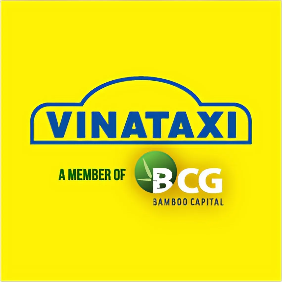CÔNG TY TAXI VIỆT NAM logo