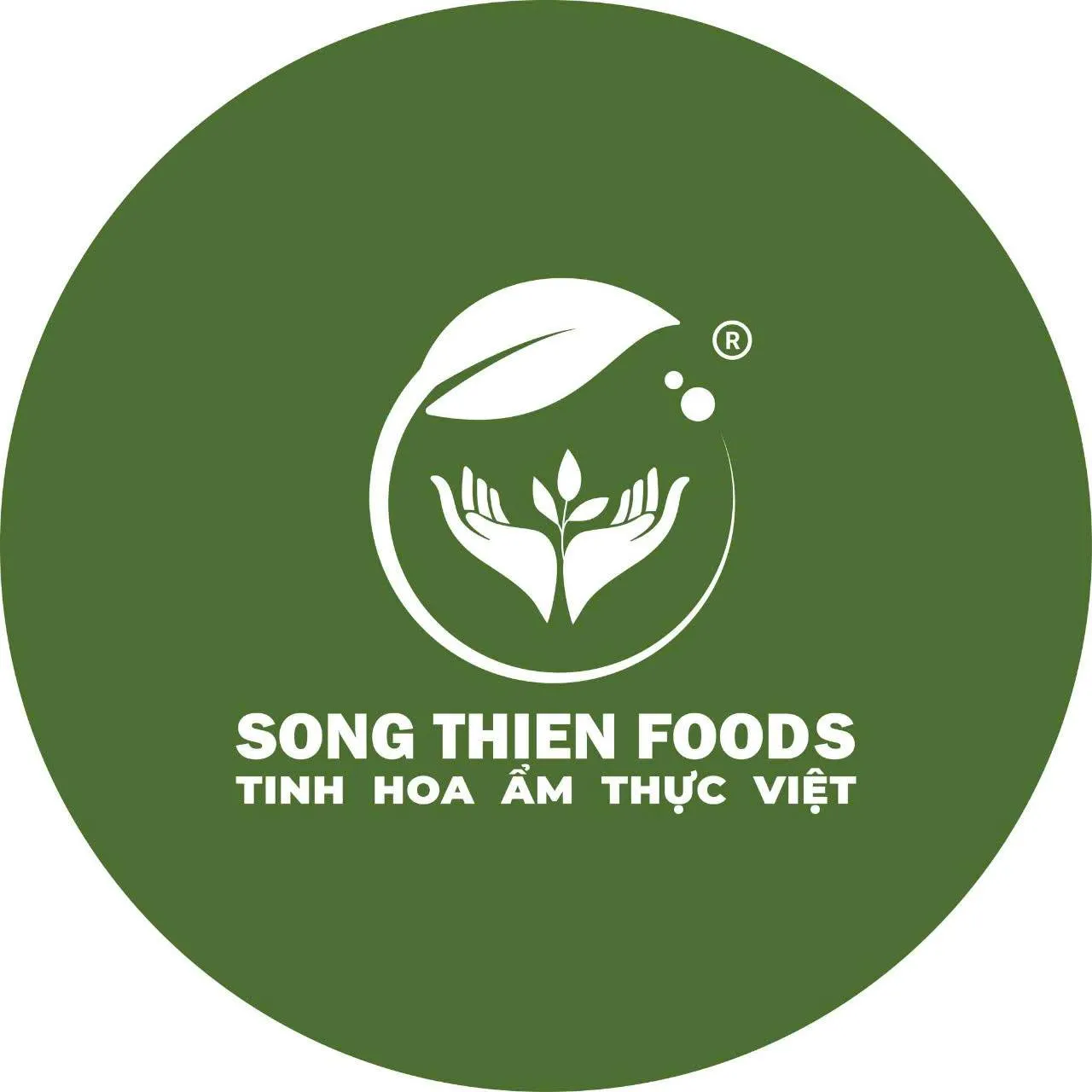 CÔNG TY TNHH SONG THIÊN FOODS logo