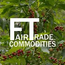CÔNG TY TNHH THƯƠNG MẠI HÀNG HÓA FAIRTRADE VIỆT NAM logo