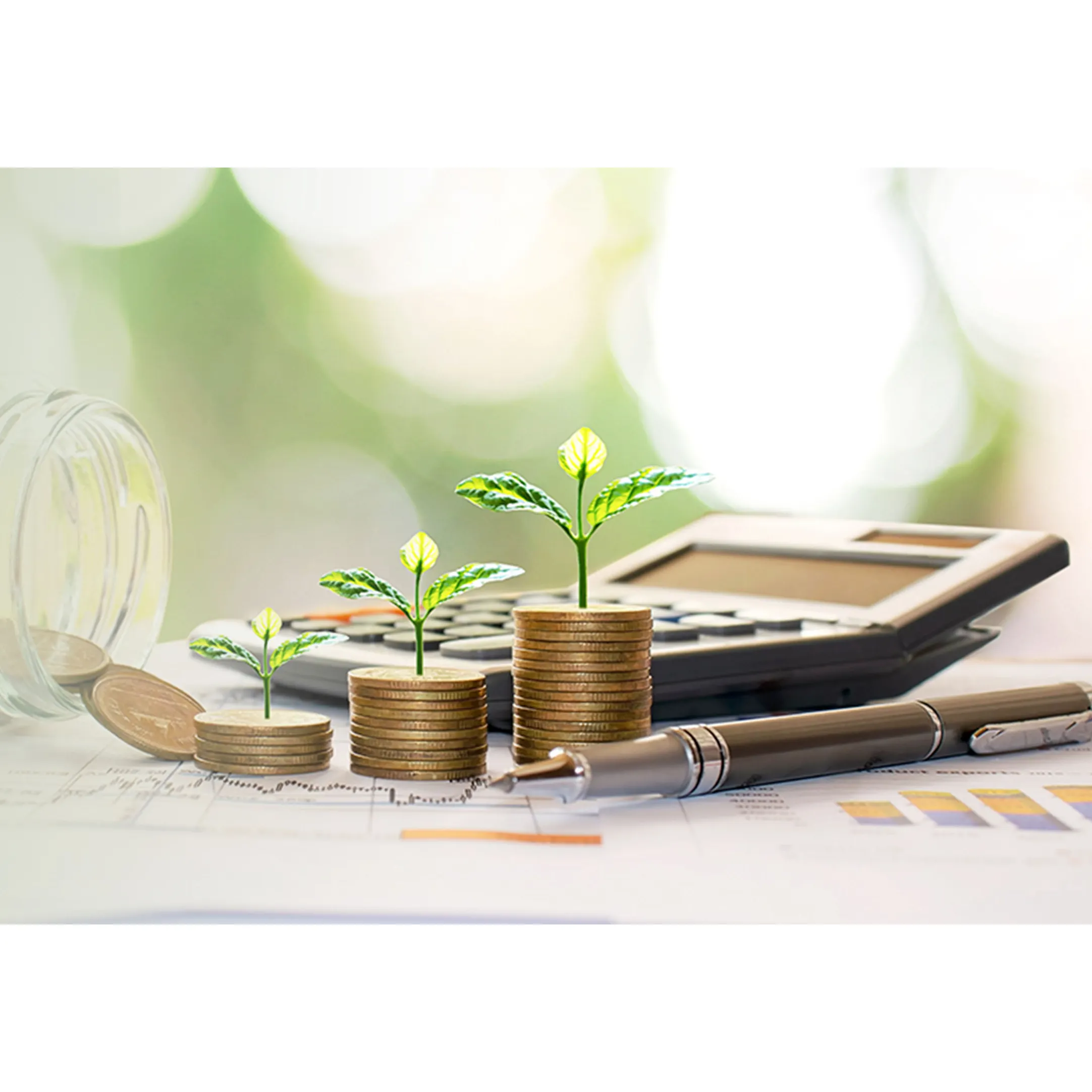 CAPITAL SPONSORSHIP (Short-term loan)