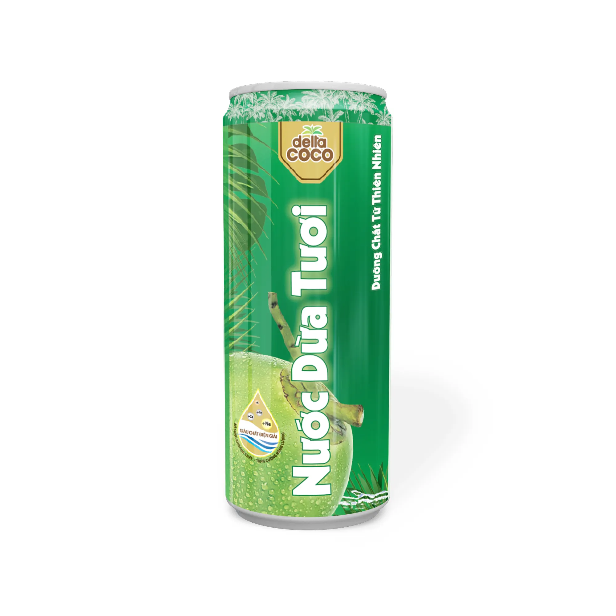 NƯỚC DỪA  - LON 490 ML