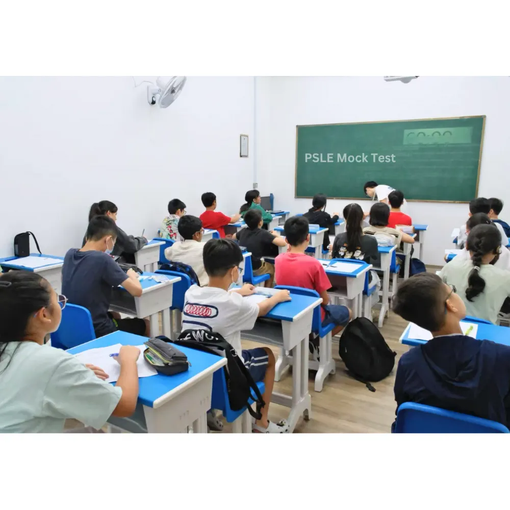 PSLE Math – Chương trình Toán Chuẩn bị Kỳ thi PSLE