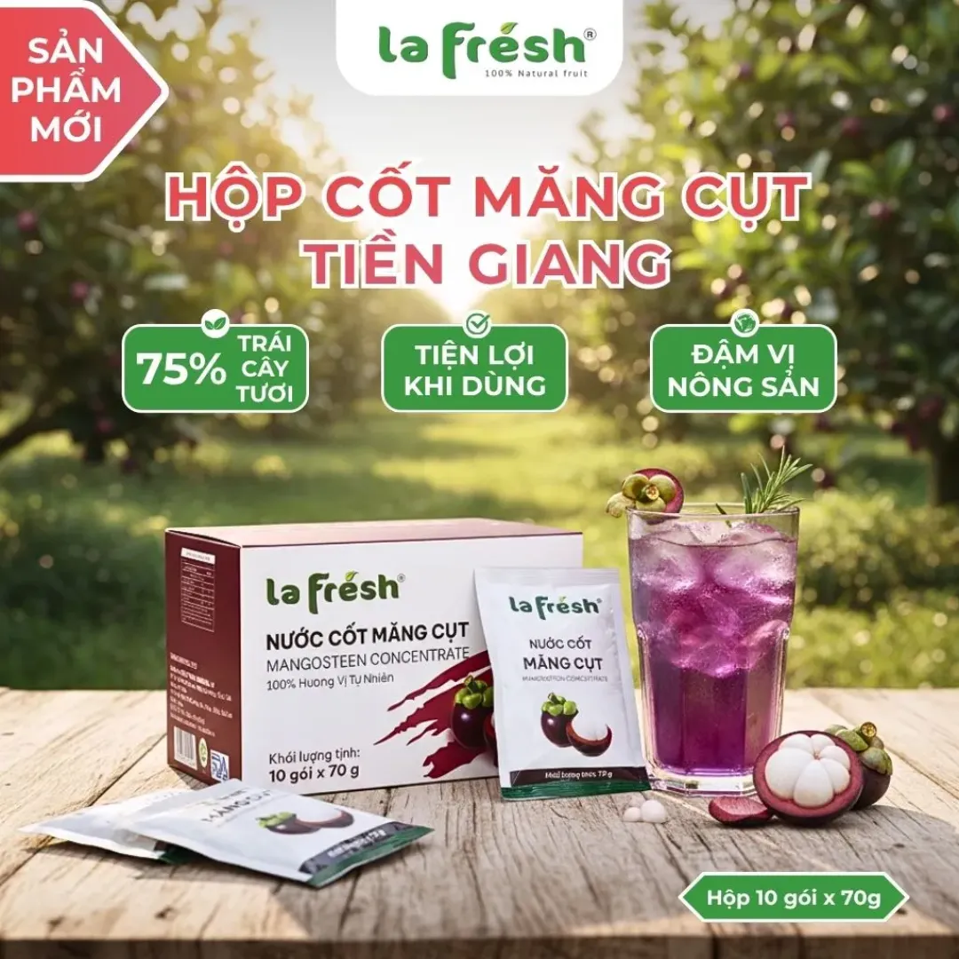 Nước cốt Măng cụt - Hộp 10 gói x 70g