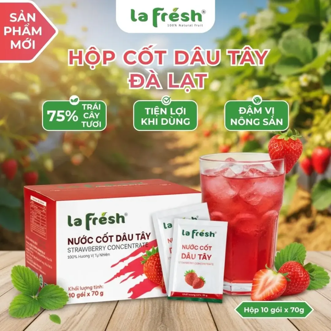 Nước cốt Dâu tây- Hộp 10 gói x 70g