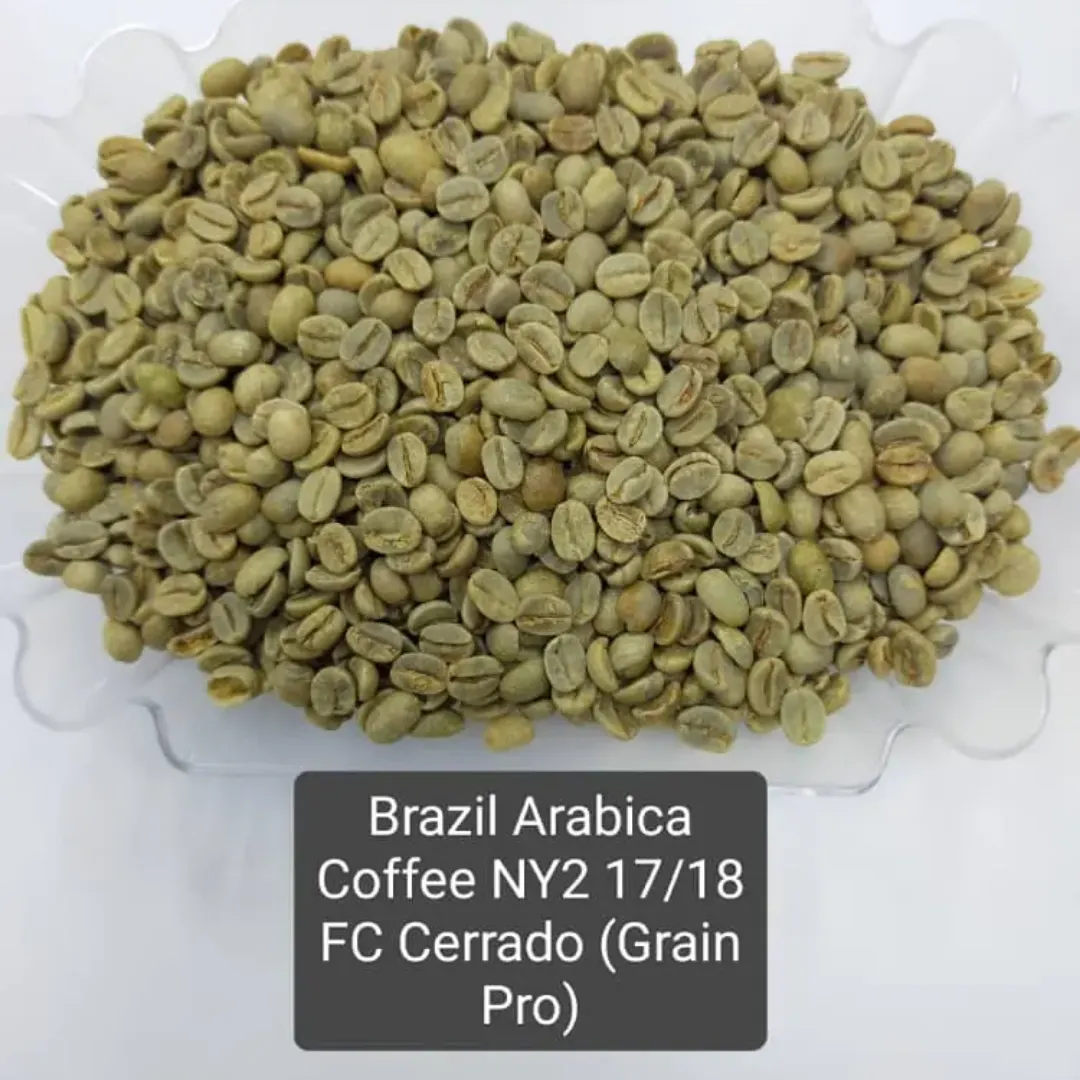 Brazil Arabica