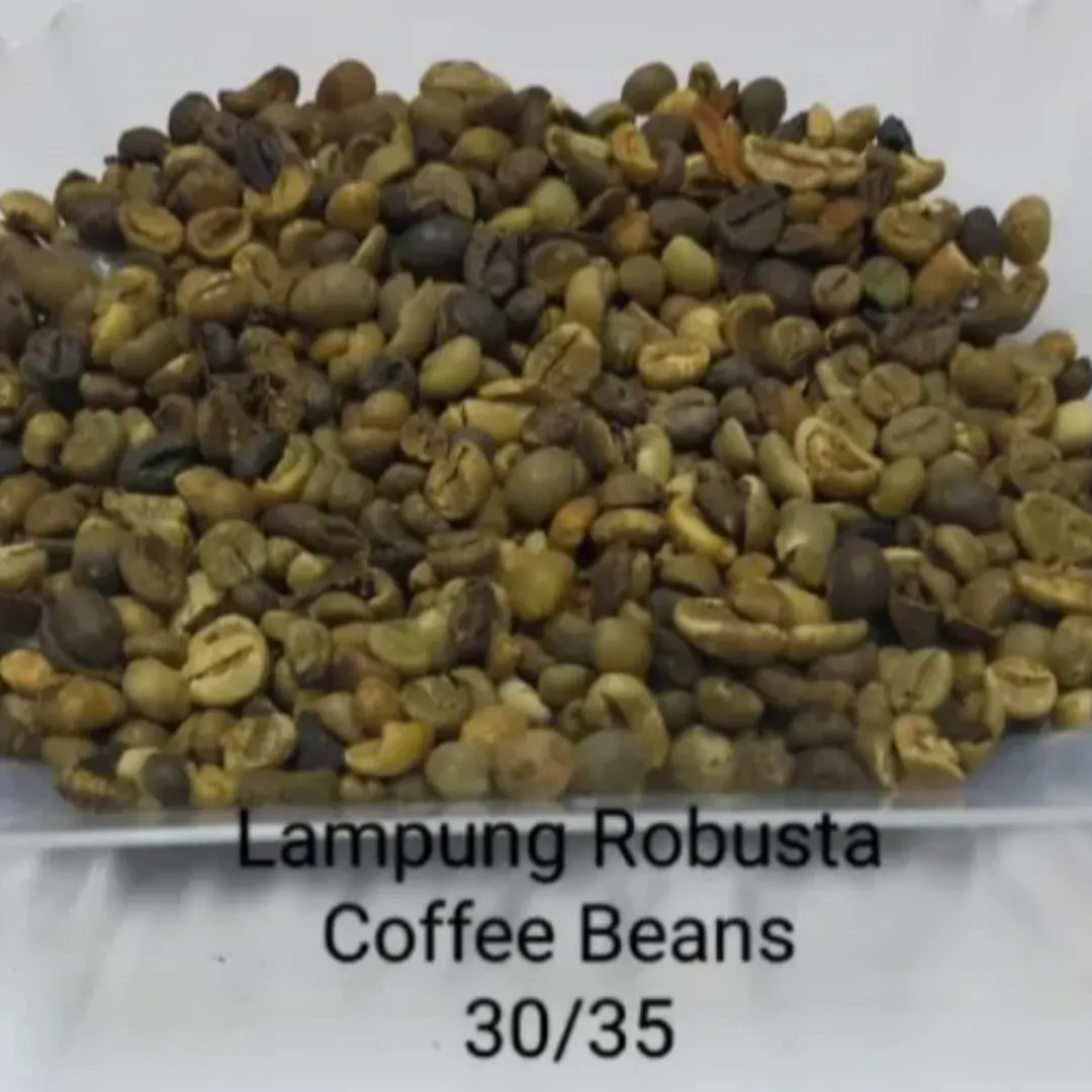 Lampung Robusta - Screen Grading